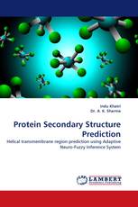 Protein Secondary Structure Prediction