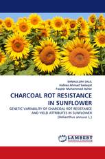 CHARCOAL ROT RESISTANCE IN SUNFLOWER