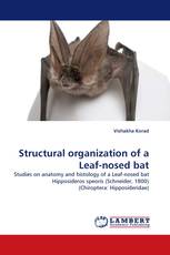 Structural organization of a Leaf-nosed bat