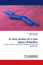 In vitro studies of a new lipase of Bacillus