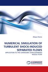 NUMERICAL SIMULATION OF TURBULENT SHOCK-INDUCED SEPARATED FLOWS