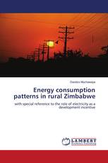 Energy consumption patterns in rural Zimbabwe