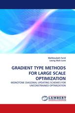GRADIENT TYPE METHODS FOR LARGE SCALE OPTIMIZATION