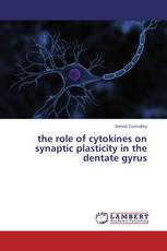 the role of cytokines on synaptic plasticity in the dentate gyrus