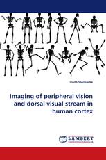 Imaging of peripheral vision and dorsal visual stream in human cortex