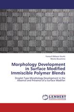 Morphology Development in Surface Modified Immiscible Polymer Blends