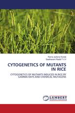 CYTOGENETICS OF MUTANTS IN RICE