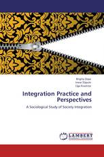 Integration Practice and Perspectives