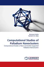 Computational Studies of Palladium Nanoclusters