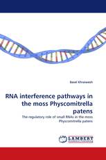 RNA interference pathways in the moss Physcomitrella patens