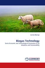 Biogas Technology