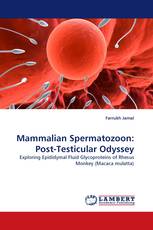 Mammalian Spermatozoon: Post-Testicular Odyssey