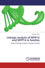 Linkage analysis of MYP12 and MYP14 in families