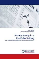 Private Equity in a Portfolio Setting