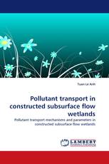 Pollutant transport in constructed subsurface flow wetlands