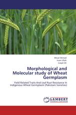 Morphological and Molecular study of Wheat Germplasm