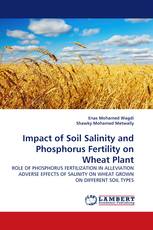 Impact of Soil Salinity and Phosphorus Fertility on Wheat Plant