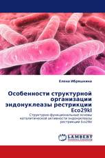 Особенности структурной организации эндонуклеазы рестрикции Eco29kI