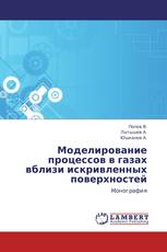 Моделирование процессов в газах вблизи искривленных поверхностей