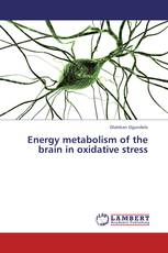 Energy metabolism of the brain in oxidative stress