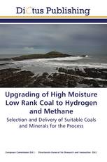 Upgrading of High Moisture Low Rank Coal to Hydrogen and Methane