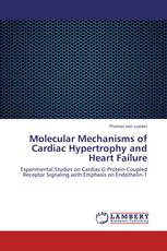 Molecular Mechanisms of Cardiac Hypertrophy and Heart Failure