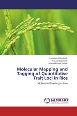 Molecular Mapping and Tagging of Quantitative Trait Loci in Rice