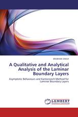A Qualitative and Analytical Analysis of the Laminar Boundary Layers