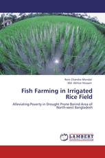 Fish Farming in Irrigated Rice Field