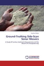 Ground-Truthing Side-Scan Sonar Mosaics
