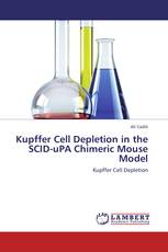 Kupffer Cell Depletion in the SCID-uPA Chimeric Mouse Model