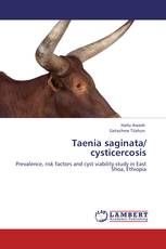 Taenia saginata/ cysticercosis