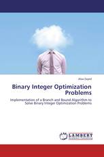 Binary Integer Optimization Problems