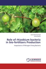 Role of rhizobium bacteria in bio-fertilizers Production