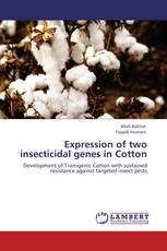 Expression of two insecticidal genes in Cotton