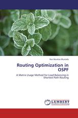 Routing Optimization in OSPF