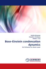 Bose–Einstein condensation dynamics