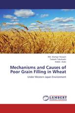 Mechanisms and Causes of Poor Grain Filling in Wheat