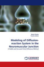Modeling of Diffusion-reaction System in the Neuromuscular Junction