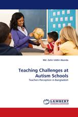 Teaching Challenges at Autism Schools