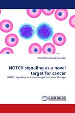 NOTCH signaling as a novel target for cancer