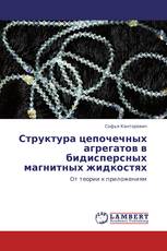 Структура цепочечных агрегатов в  бидисперсных магнитных жидкостях