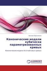 Канонические модели кубически параметризованных кривых