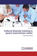 Cultural diversity training in power transmission sector