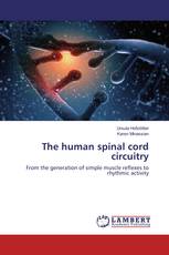 The human spinal cord circuitry