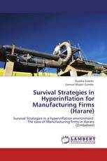 Survival Strategies in Hyperinflation for Manufacturing Firms (Harare)