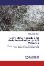 Heavy Metal Toxicity and their Remediation by Soil Microbes