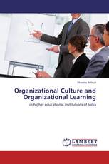 Organizational Culture and Organizational Learning