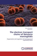 The electron transport chains of Neisseria meningitidis