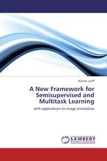 A New Framework for Semisupervised and Multitask Learning